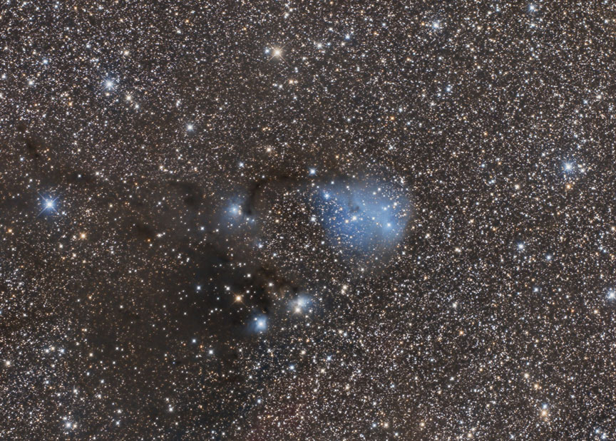 Nerbulosas IC446 e IC447