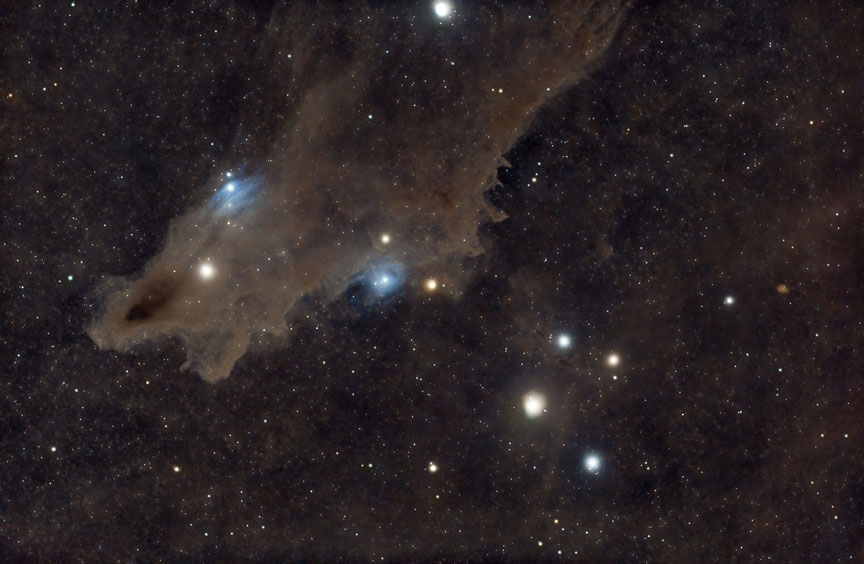 LDN1235 - Nebulosa del Tiburón