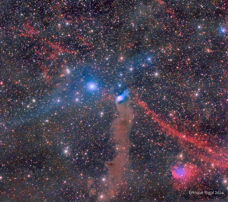 Vdb 152 - Nebulosa del Urogallo